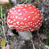 1109F 162 Trier-Paderborn